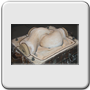 Cavity model